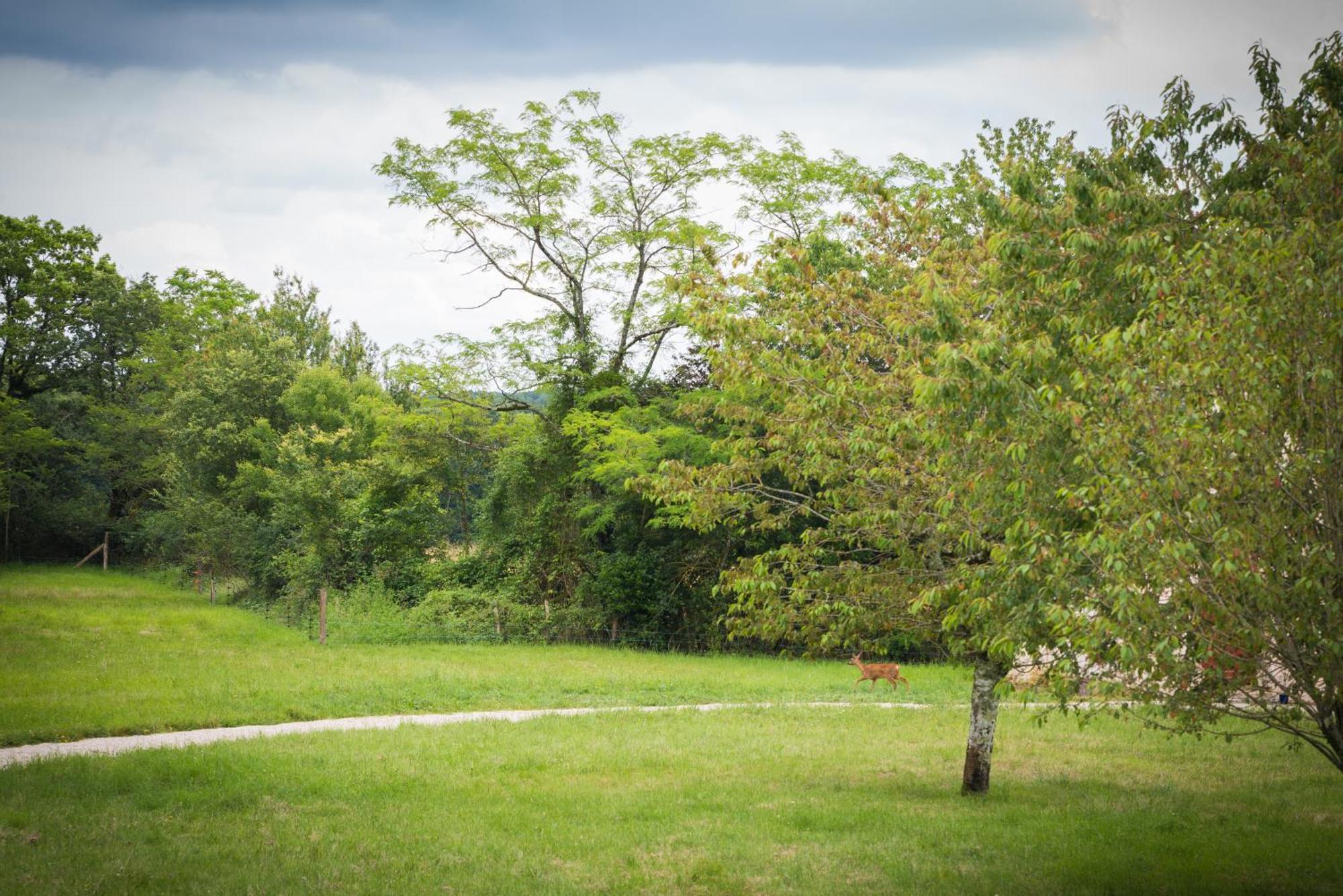 فندق Domaine De L'Ecorcerie Fontaine-le-Comte المظهر الخارجي الصورة